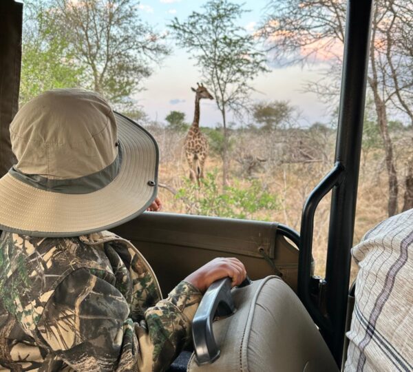 Safari Experience
